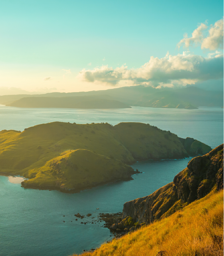 Image Description
